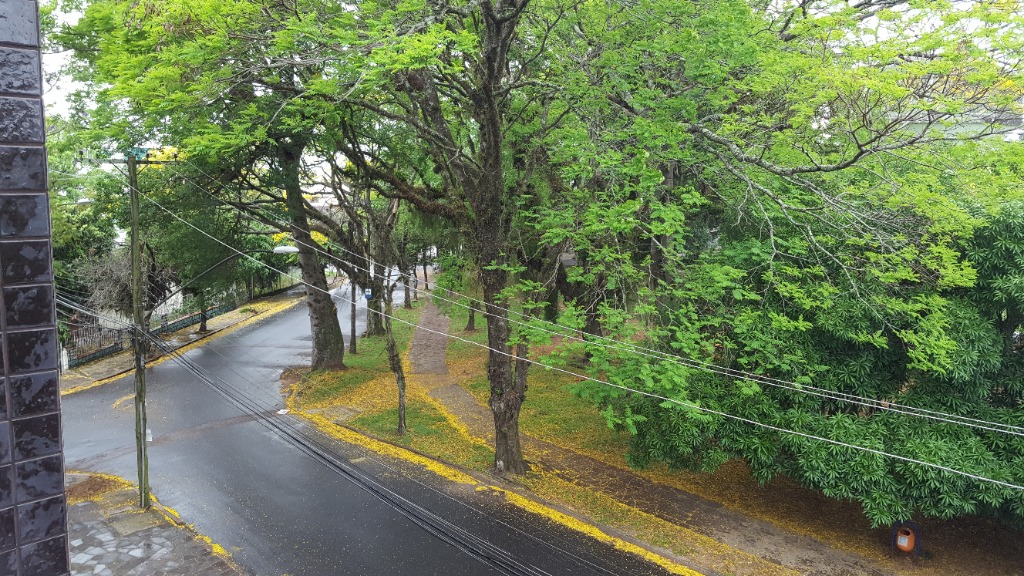 Imagem da propriedade IM4713 12